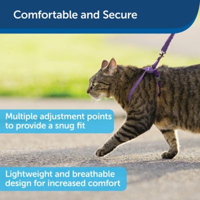 Image showing  Come With Me Kitty Adjustable Cat Harness and Bungee Leash, 3/8 in.