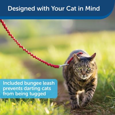 Image showing  Come With Me Kitty Adjustable Cat Harness and Bungee Leash, 3/8 in.
