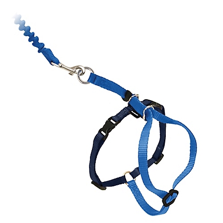 PetSafe Come With Me Kitty Adjustable Cat Harness and Bungee Leash, 3/8 in.
