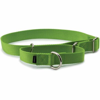 PetSafe Premier Martingale Dog Collar