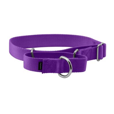 PetSafe Martingale Dog Collar