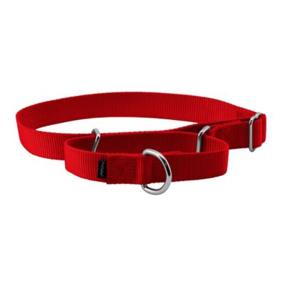 PetSafe Martingale Dog Collar