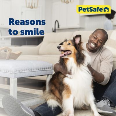 Image showing 1 th PetSafe Martingale Dog Collar