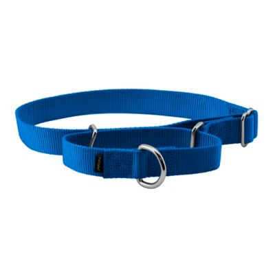 Image showing 0 th PetSafe Martingale Dog Collar