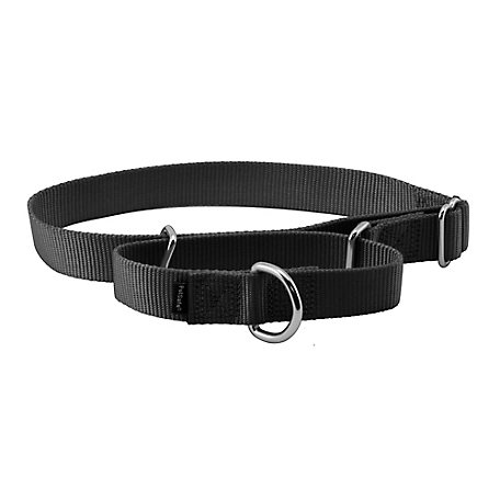 PetSafe Premier Martingale Dog Collar