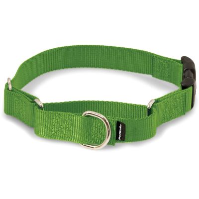 PetSafe Martingale Dog Collar with Quick Snap Buckle