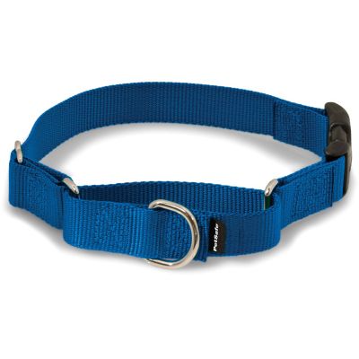 PetSafe Martingale Dog Collar with Quick Snap Buckle