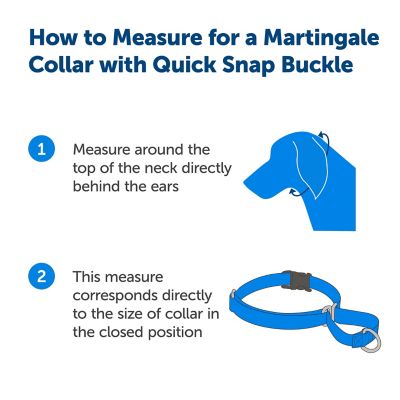 Image showing 2 th PetSafe Martingale Dog Collar with Quick Snap Buckle