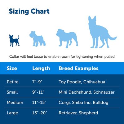 Image showing 3 th PetSafe Martingale Dog Collar with Quick Snap Buckle