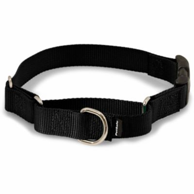 Image showing  Martingale Dog Collar with Quick Snap Buckle