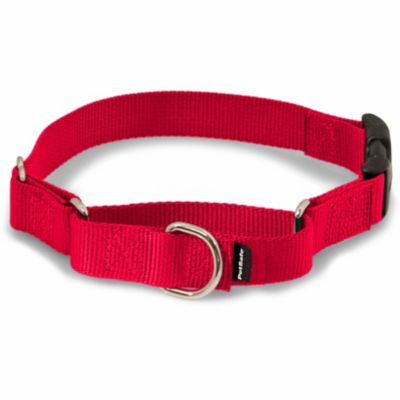 Image showing  Martingale Dog Collar with Quick Snap Buckle