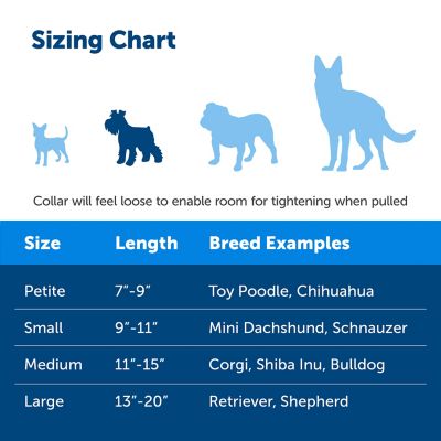 Image showing  Martingale Dog Collar with Quick Snap Buckle