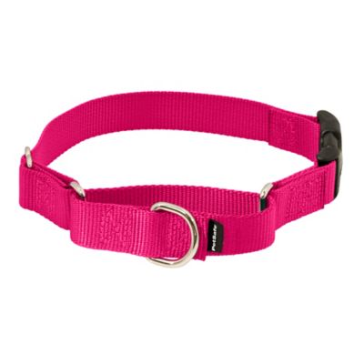 Image showing  Martingale Dog Collar with Quick Snap Buckle