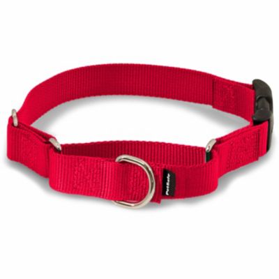PetSafe Martingale Dog Collar with Quick Snap Buckle