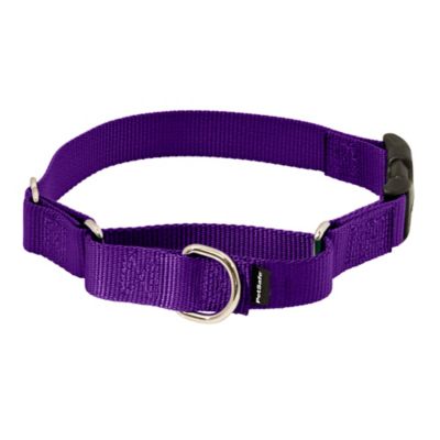 Image showing  Martingale Dog Collar with Quick Snap Buckle