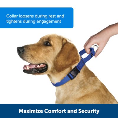 Image showing 1 th PetSafe Martingale Dog Collar with Quick Snap Buckle