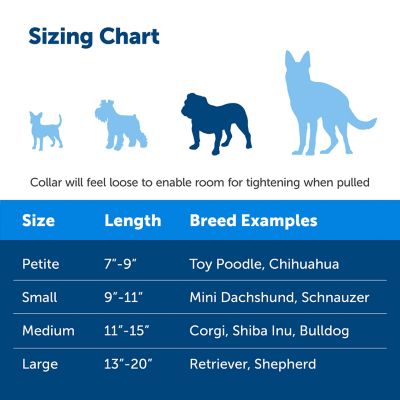 Image showing 3 th PetSafe Martingale Dog Collar with Quick Snap Buckle