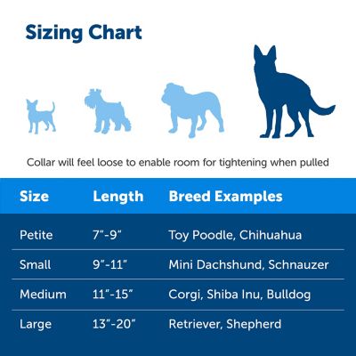 Image showing  Martingale Dog Collar with Quick Snap Buckle