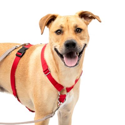 PetSafe Sure-Fit Dog Harness