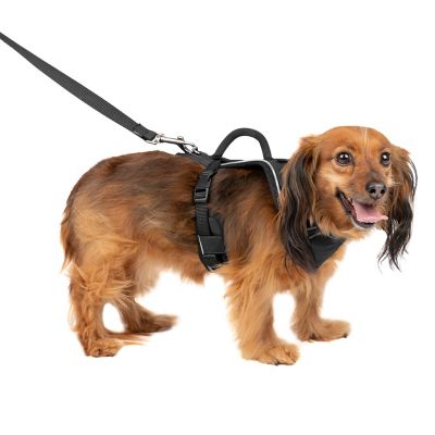 PetSafe Easysport Dog Harness -  224018