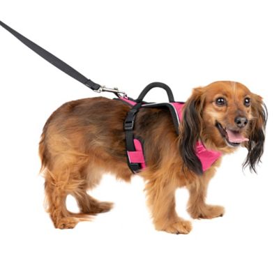PetSafe Easysport Dog Harness