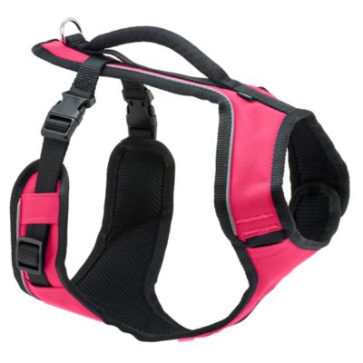 Image showing 7 th PetSafe Easysport Dog Harness