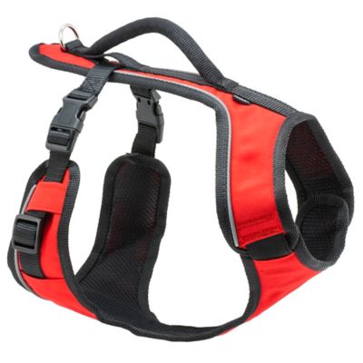 Image showing 7 th PetSafe Easysport Dog Harness