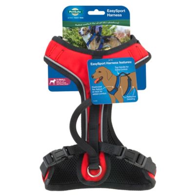 Image showing 8 th PetSafe Easysport Dog Harness