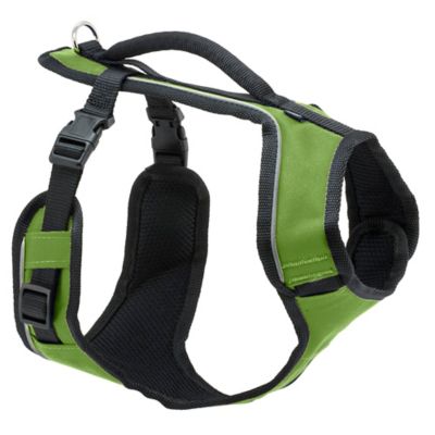 Image showing 7 th PetSafe Easysport Dog Harness