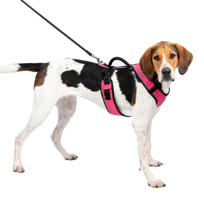 Image showing  Easysport Dog Harness