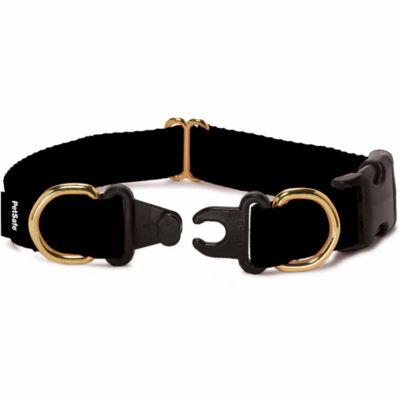 PetSafe KeepSafe Break-Away Safety Dog Collar