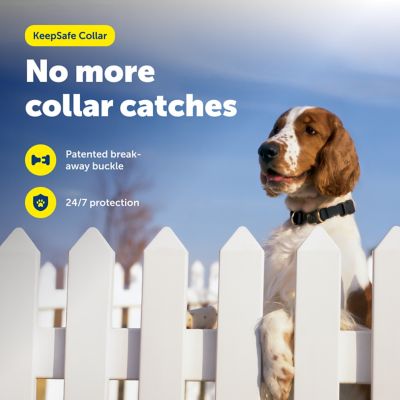 Image showing  KeepSafe Break-Away Safety Dog Collar