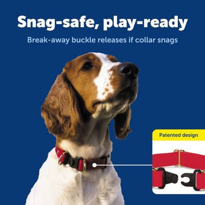Image showing  KeepSafe Break-Away Safety Dog Collar