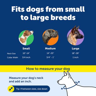 Image showing  KeepSafe Break-Away Safety Dog Collar