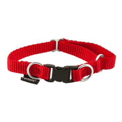 PetSafe KeepSafe Break-Away Safety Dog Collar