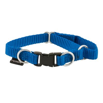 Image showing  KeepSafe Break-Away Safety Dog Collar