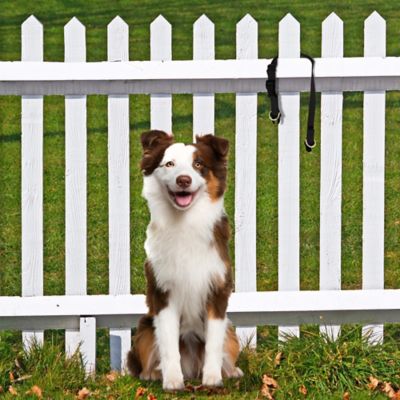 Image showing 1 th PetSafe KeepSafe Break-Away Safety Dog Collar