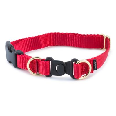 Image showing  KeepSafe Break-Away Safety Dog Collar