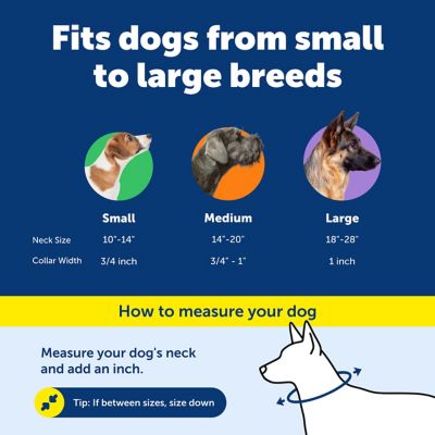 Image showing 4 th PetSafe KeepSafe Break-Away Safety Dog Collar