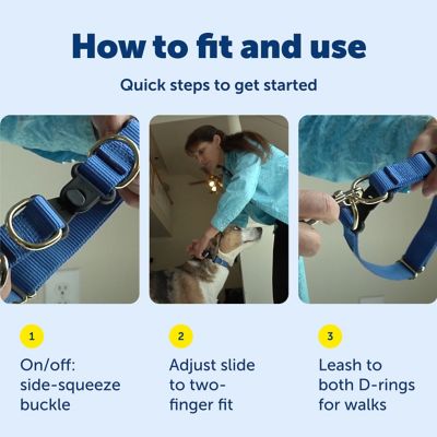 Image showing 5 th PetSafe KeepSafe Break-Away Safety Dog Collar