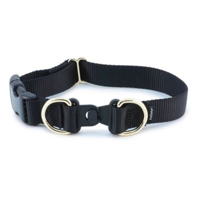 PetSafe KeepSafe Break-Away Safety Dog Collar, 1