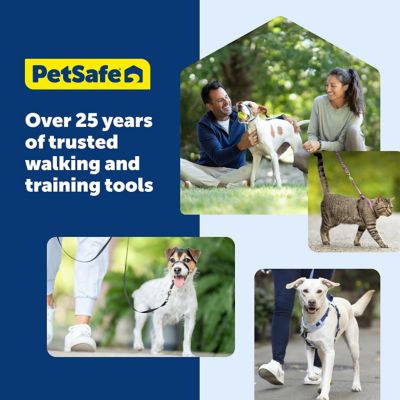 Image showing 6 th PetSafe KeepSafe Break-Away Safety Dog Collar
