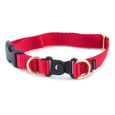 PetSafe KeepSafe Break-Away Safety Dog Collar