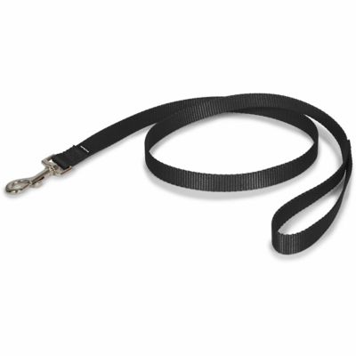 Image showing  Nylon Dog Leash