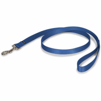 PetSafe Nylon Dog Leash