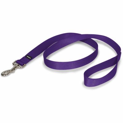 Image showing  Nylon Dog Leash