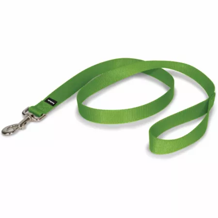 PetSafe Nylon Dog Leash Dog Basic Leashes