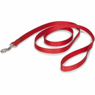 PetSafe Nylon Dog Leash