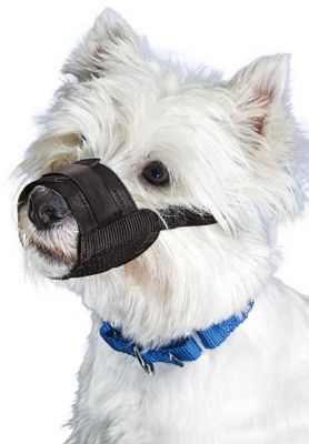 Image showing  Dog Muzzle