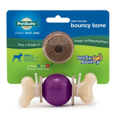 PetSafe Busy Buddy Bouncy Bone Dog Chew Toy Great toy for a dog that keeps him/her occupied for a long period of time